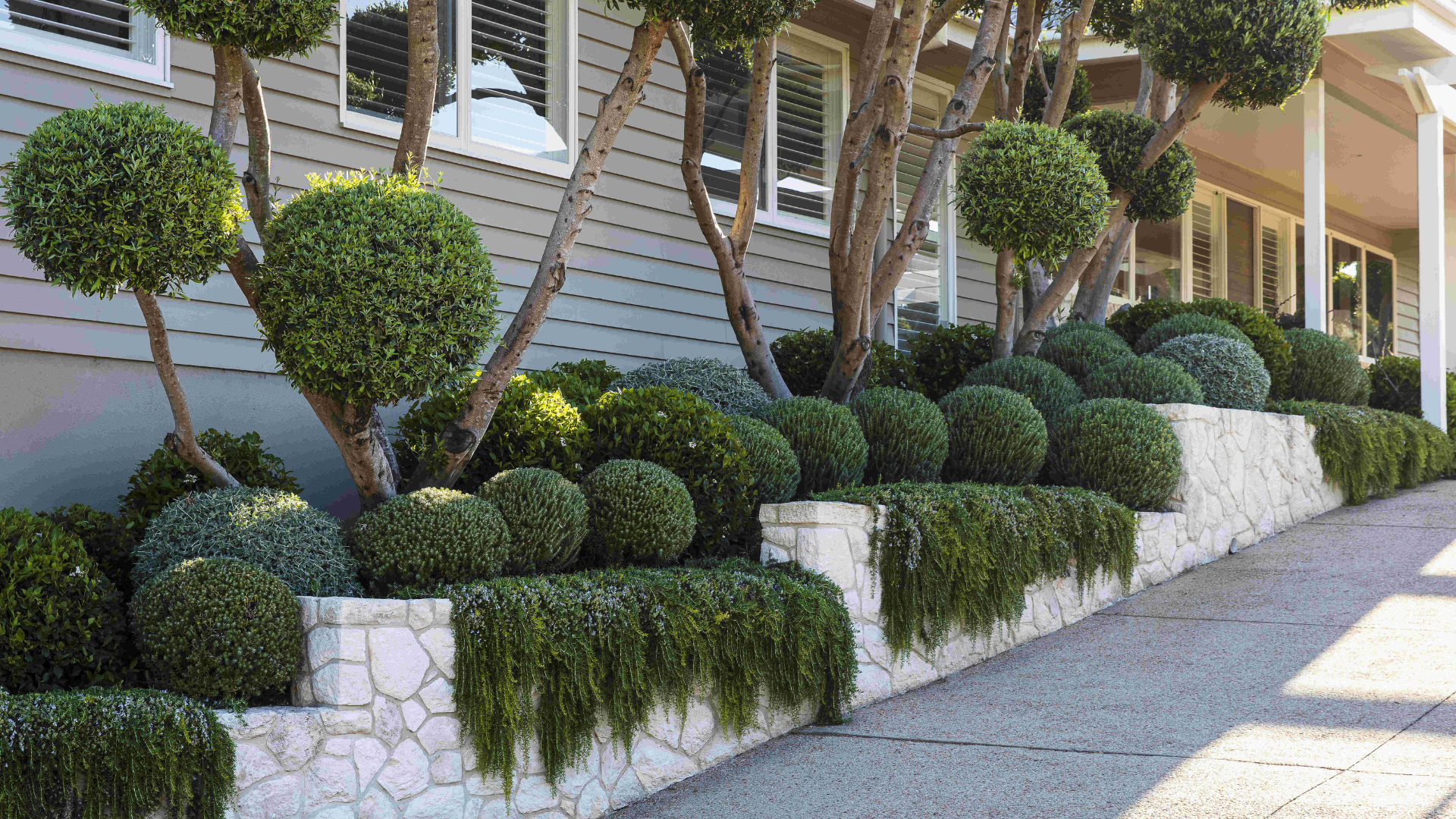 Landscape of the Year - Jane Jones Landscapes Portsea Project