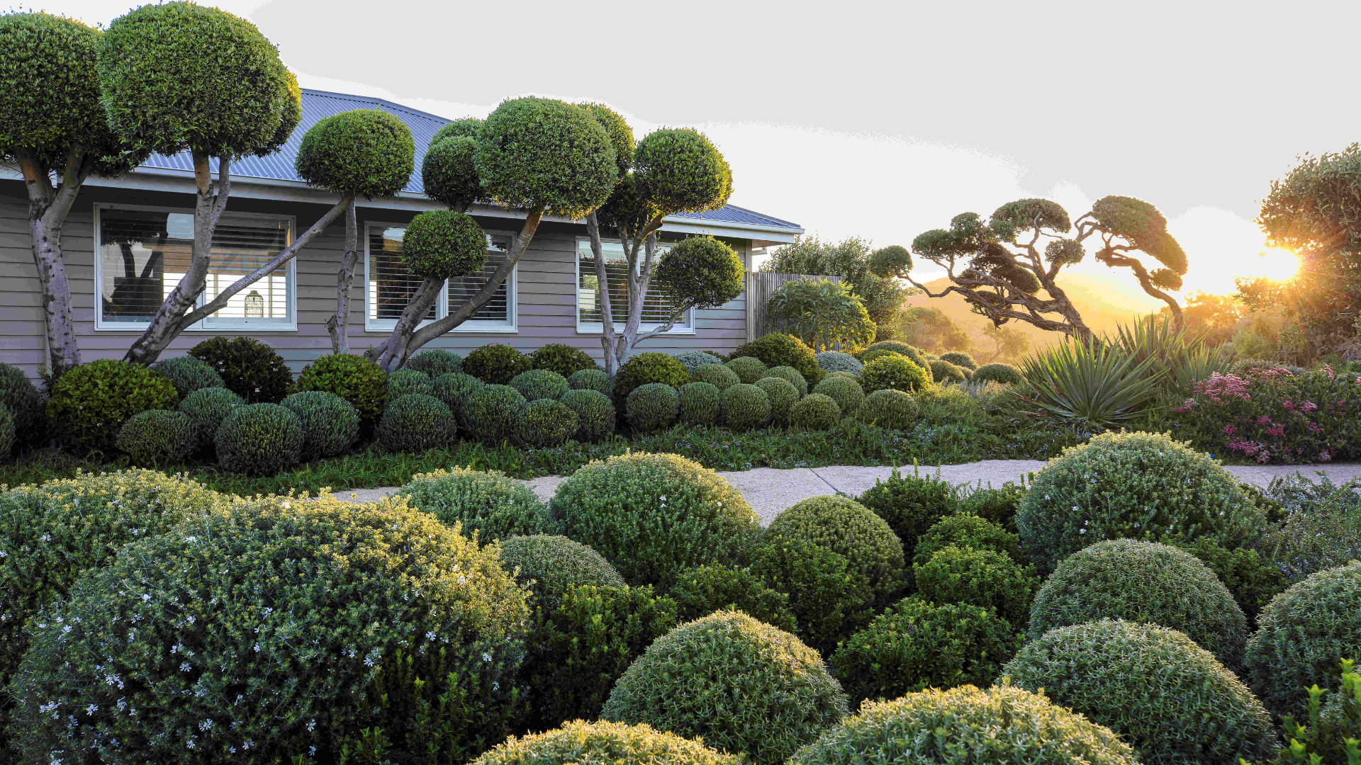 Landscape of the Year - Jane Jones Landscapes Portsea Project