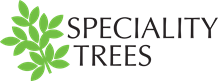 Specialty Trees | Landscaping Victoria Silver Partner
